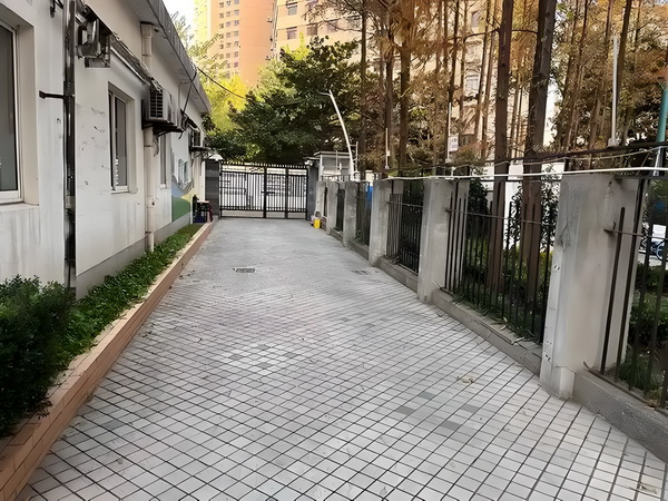 调婿